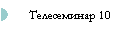 Телесеминар 10