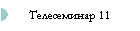 Телесеминар 11