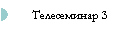Телесеминар 3