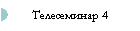 Телесеминар 4