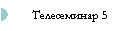 Телесеминар 5