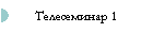 Телесеминар 1