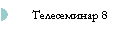Телесеминар 8